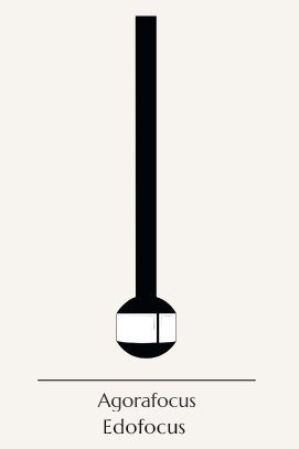 Edofocus design